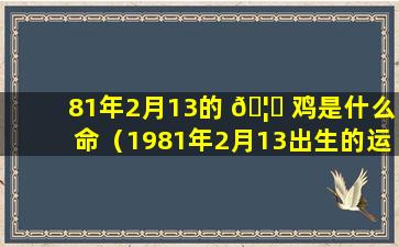 81年2月13的 🦅 鸡是什么命（1981年2月13出生的运气怎 🦢 么样）